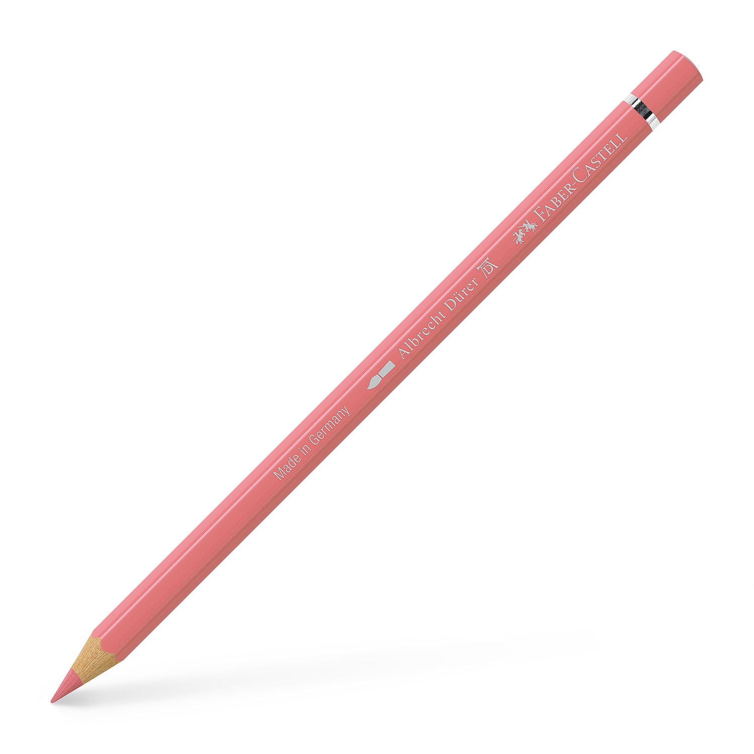 117631_Albrecht-D-rer-watercolour-pencil-coral_High-Res_21985
