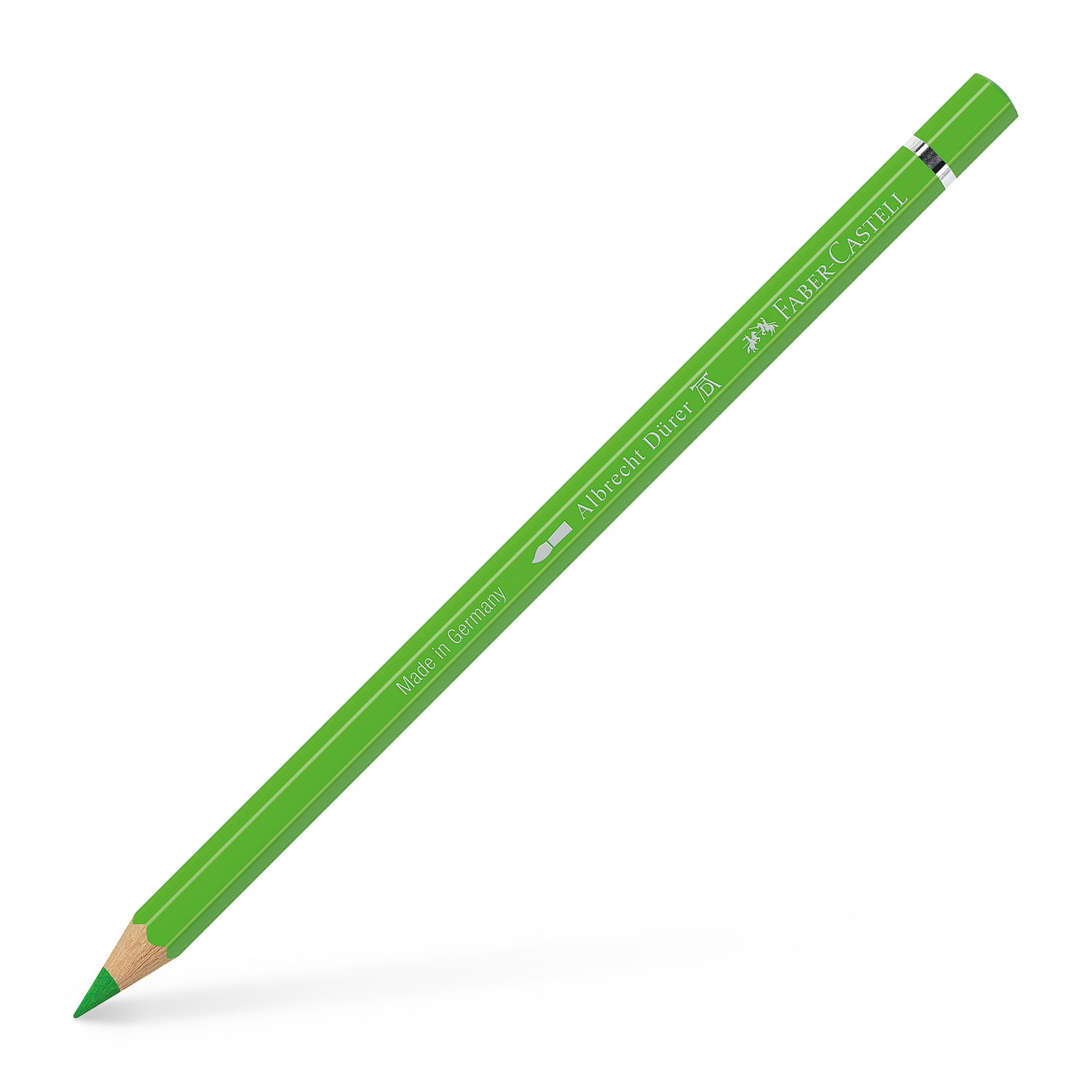 117666_Albrecht-D-rer-watercolour-pencil-grass-green_High-Res_21956