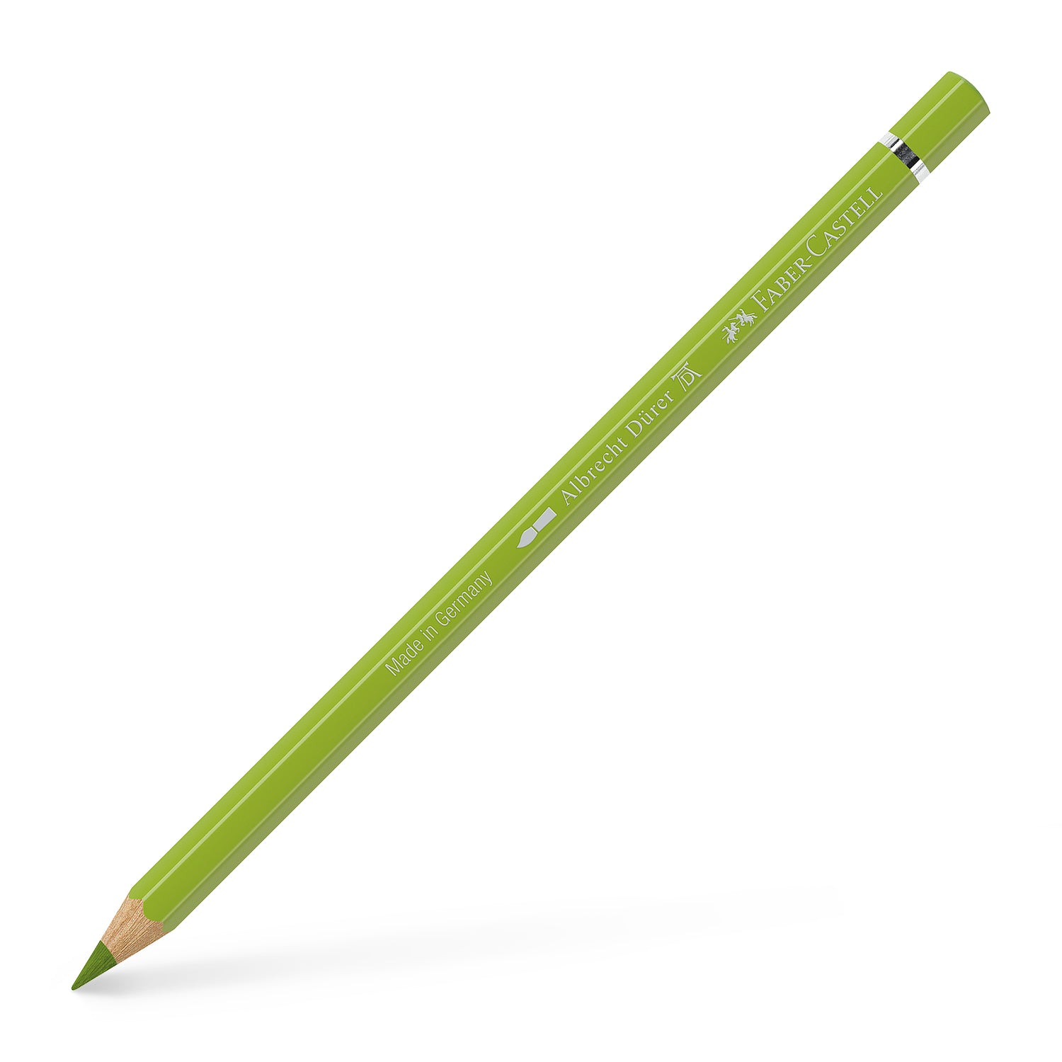 117670_Albrecht-D-rer-watercolour-pencil-may-green_High-Res_21952
