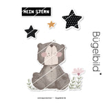 buegelbild_6