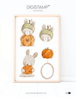 empue_kuerbishase_digistamp
